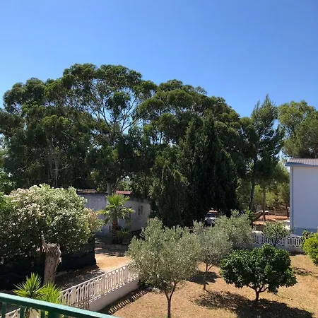La Terrazza Sul Mare * 塞利亚马里纳